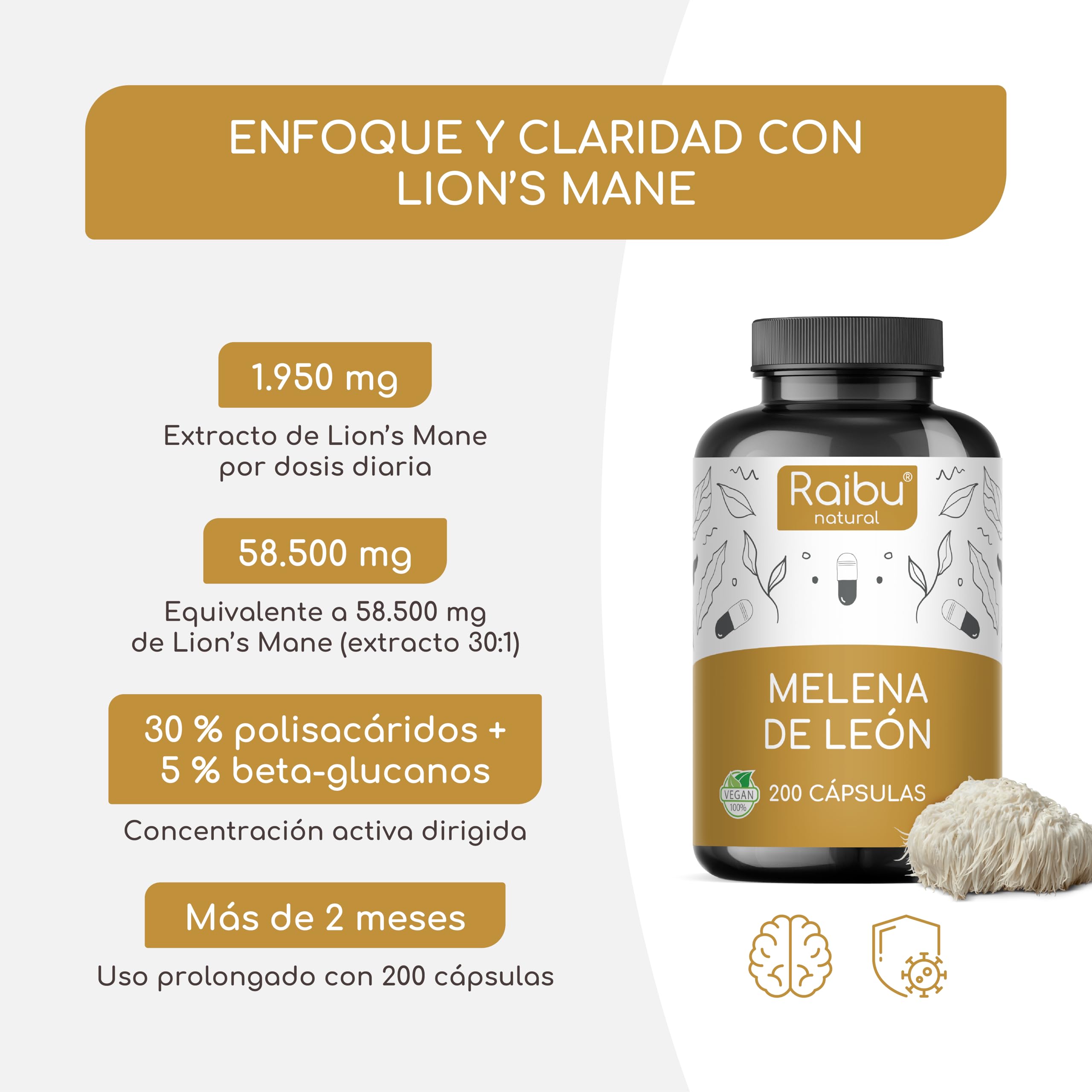 Melena de Leon 58.500 mg (30:1) por dosis diaria - Alta absorción Lions Mane (Hericium erinaceus) con vitamina C y pimienta negra - 30 % polisacáridos, 5 % betaglucanos - Sin OGM y Sin gluten