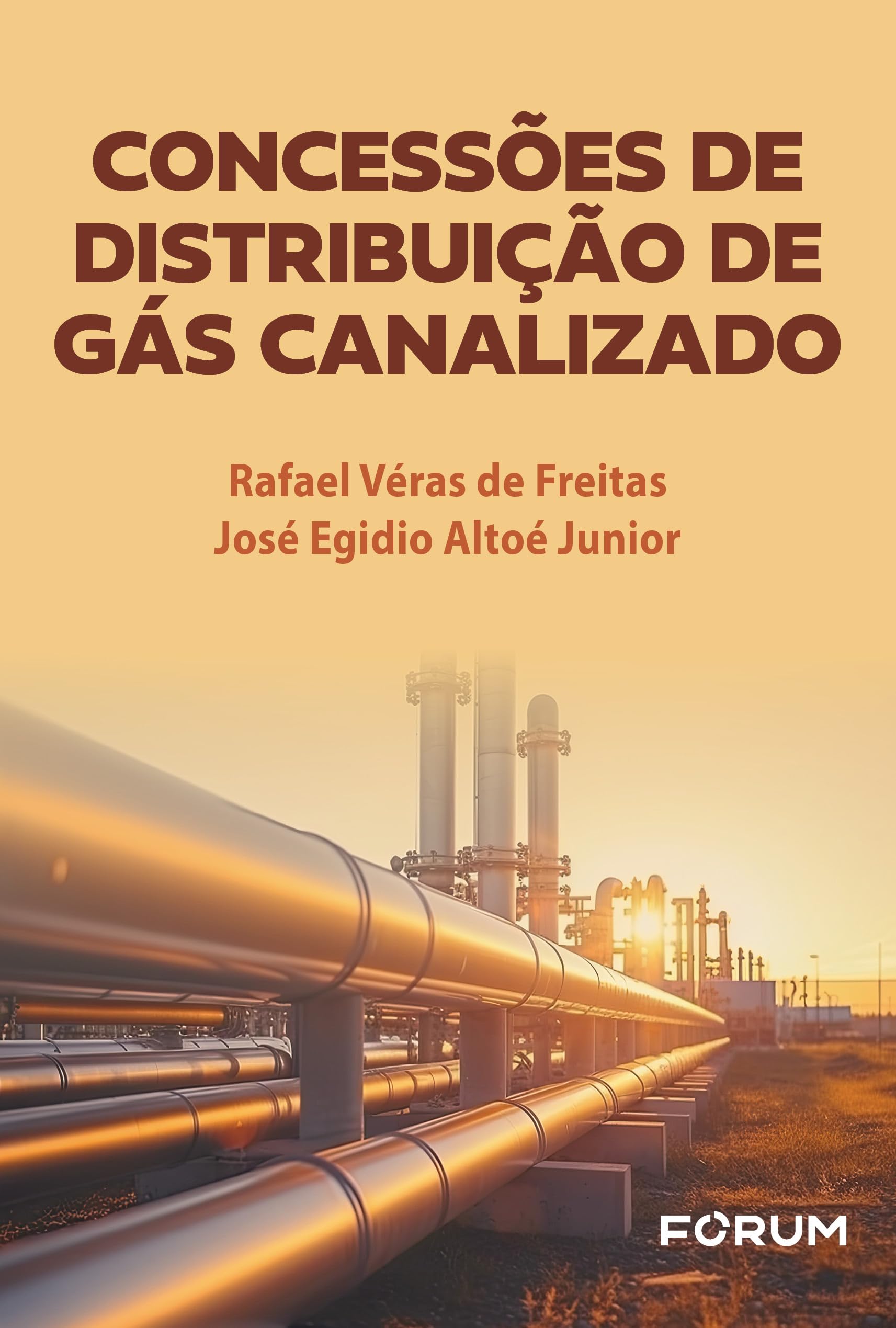Capa de Concessões de distribuição de gás canalizado
