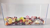 Teraplast Coimbra Átlátszó Műanyag Virágcserép - Könnyű Beltéri Növénytartó Edény, 30 x 15 x 14 cm 6