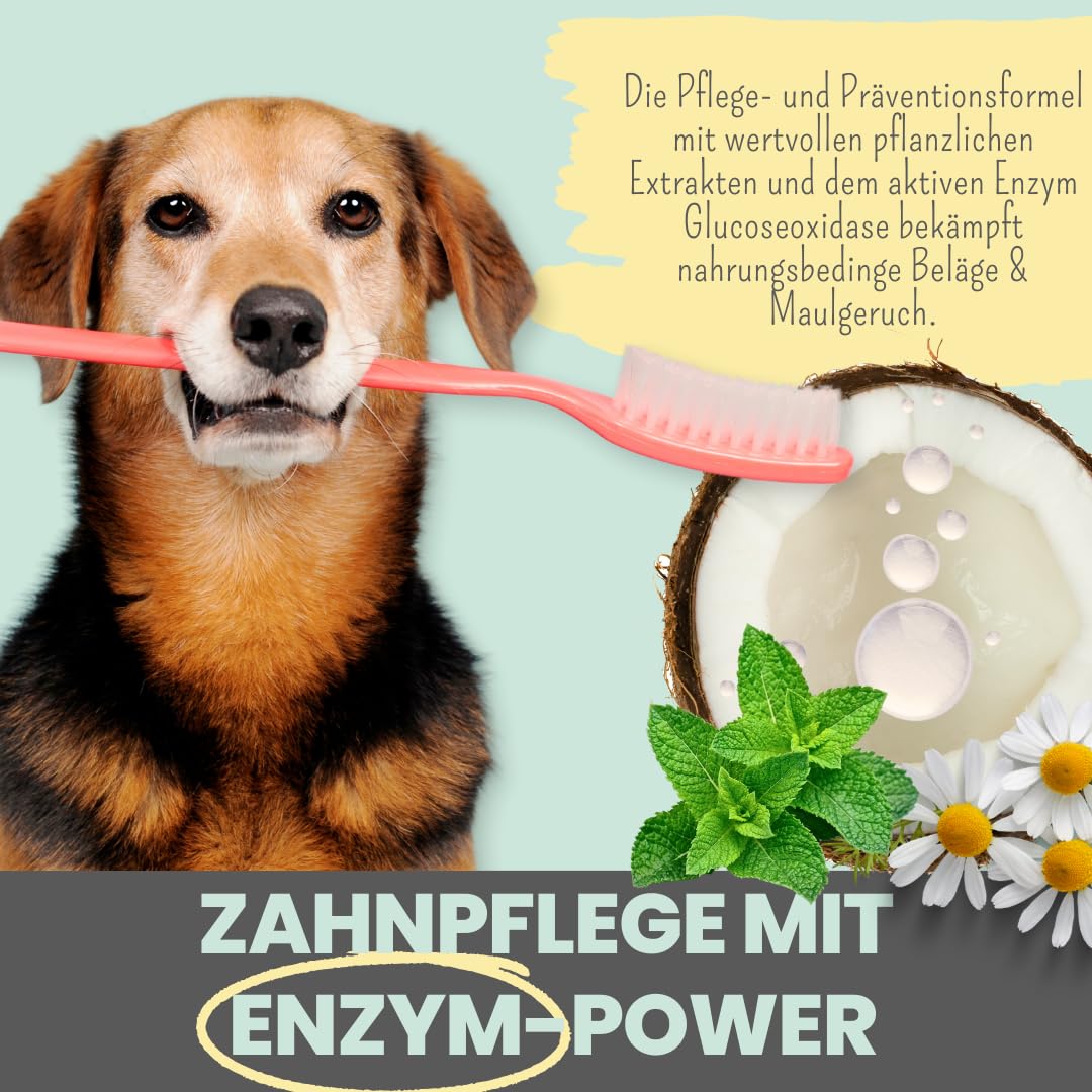 noms+ Enzymodent Enzymatische Hundezahnpasta mit natürlicher Pflege- und Präventionsformel gegen Mundgeruch und Zahnstein beim Hund