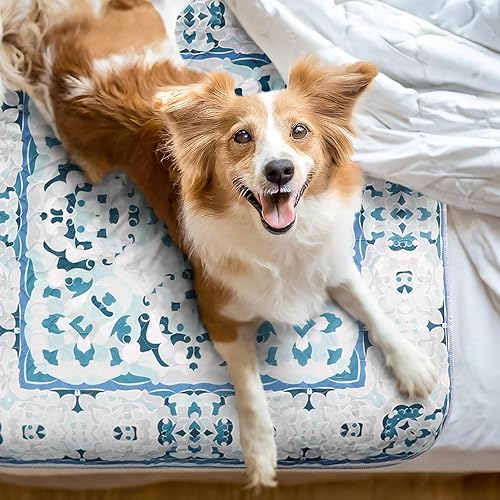 Miniatura 4 de NALALAS Almohadillas grandes lavables para orina para perros Reutilizables, impermeables y ultra absorbentes Almohadillas para orina de perro,