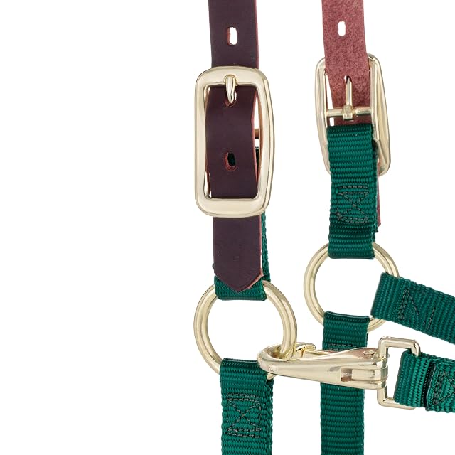 Foto 6 de 7 de Weaver Leather Breakaway - Cabestro Ajustable para Barbilla y Garganta, 35-6025-HG, Verde Cazador, Average…