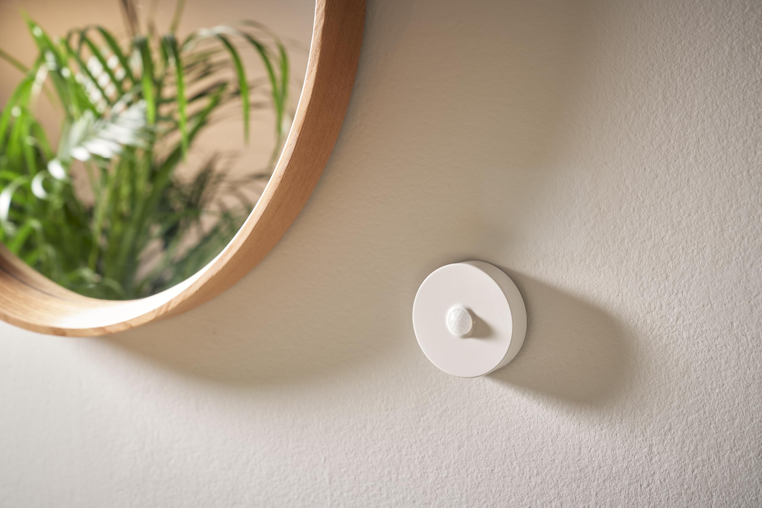 Schneider Electric - Detector de Movimiento/Sensor de luz Wiser para alarmar/activación de automatizaciones Productos Wiser conectados, CCT595012