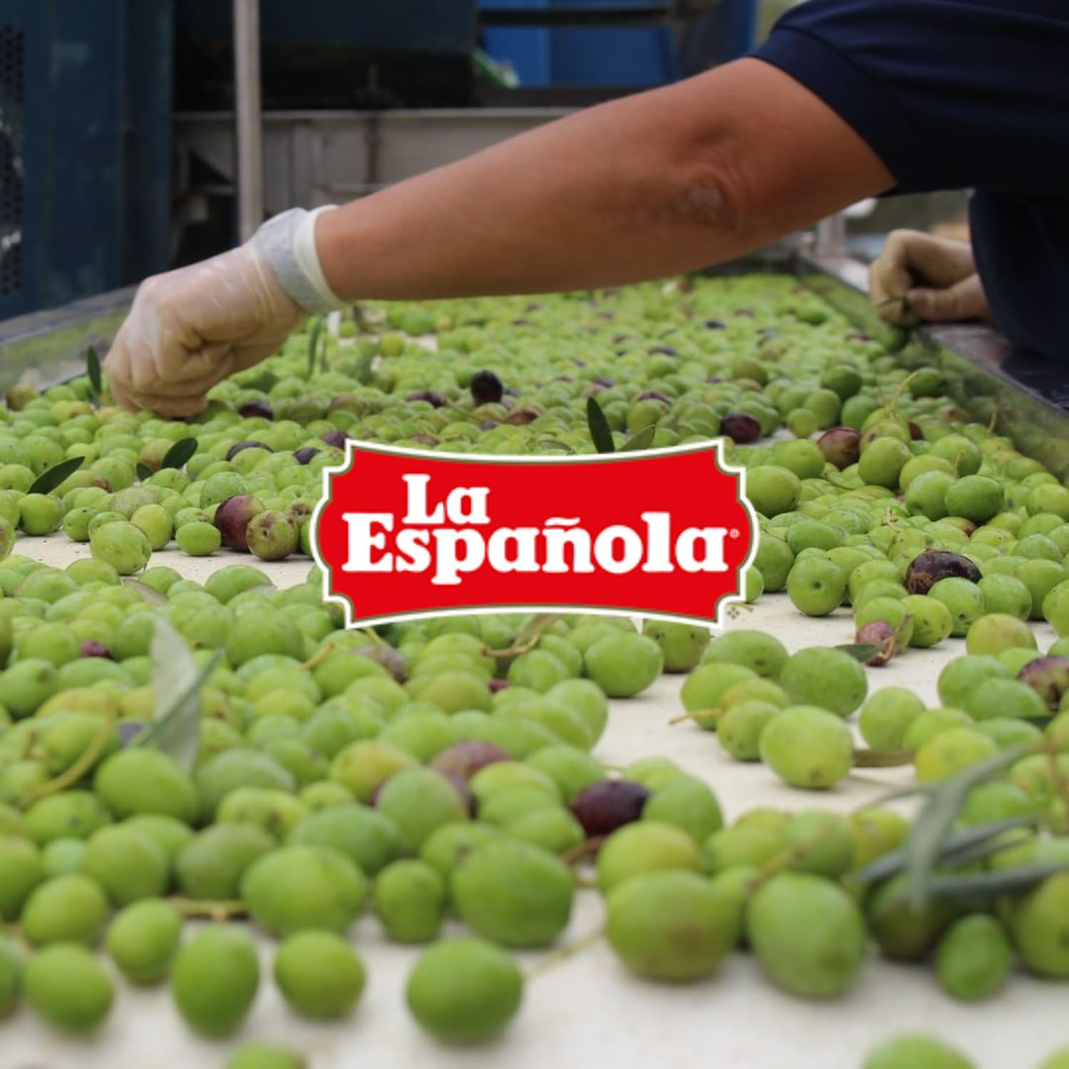LA ESPAÑOLA - Huile d'olive vierge extra (5L)