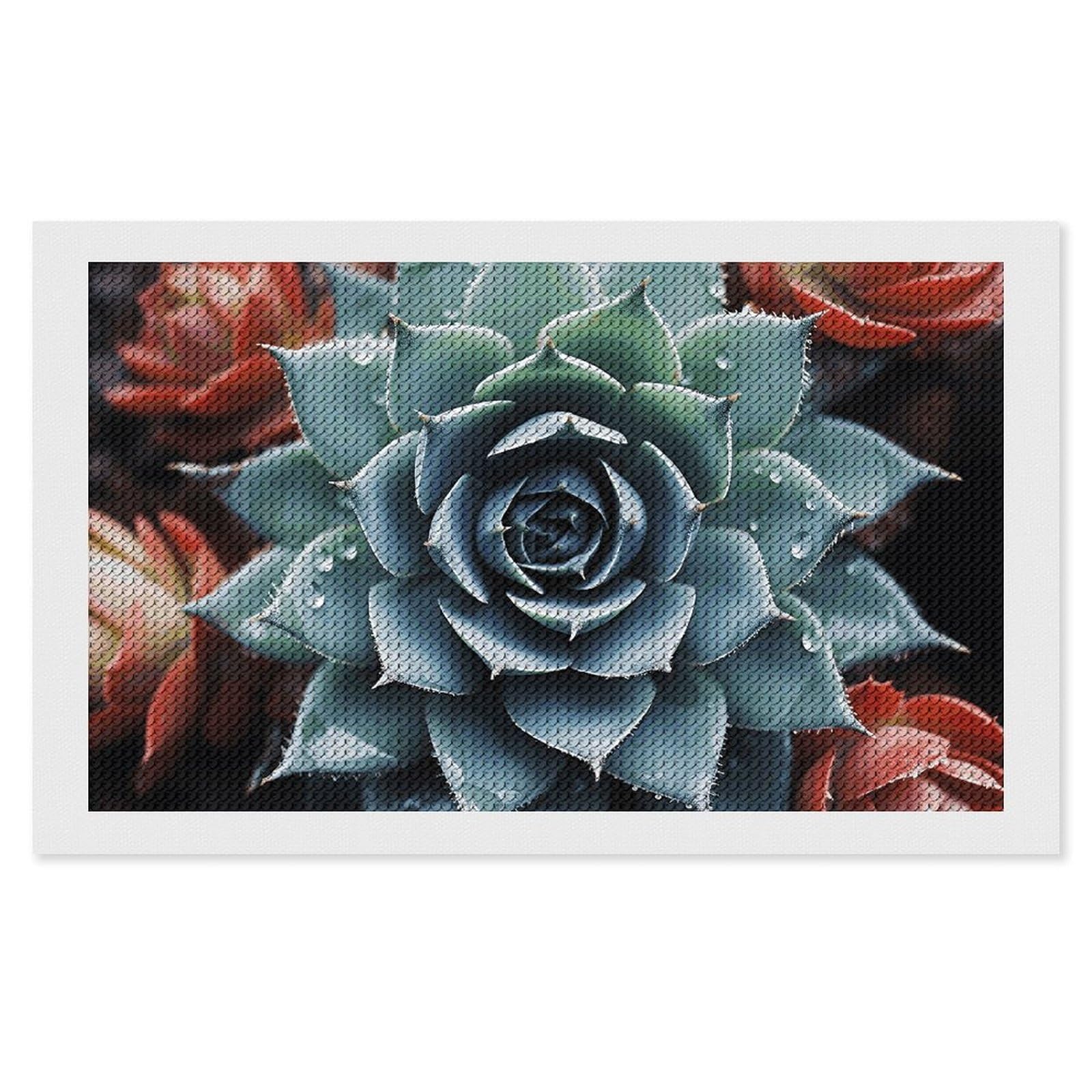 NONHAI Diamond Painting Kits for Adults - DIY Diamond Art Kits for Beginners - Full 5D Paint Drill Diamond Dots Paintings- Succulent Plant Diamonds Pictures Gem Art and Craft Wall Decor 12"x20"