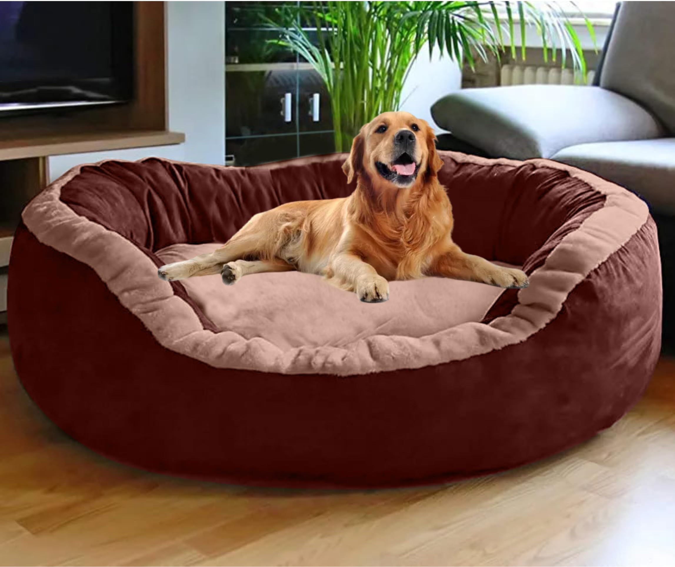 DRILLY Polyester Washable Dog/cat Bed for Small |Medium | Large |Extra Large | XXL | XXXL | 4XL Size Dogs | Cats | Puppy | pet | Rabbit | Persian cat | Indoor cat (L)