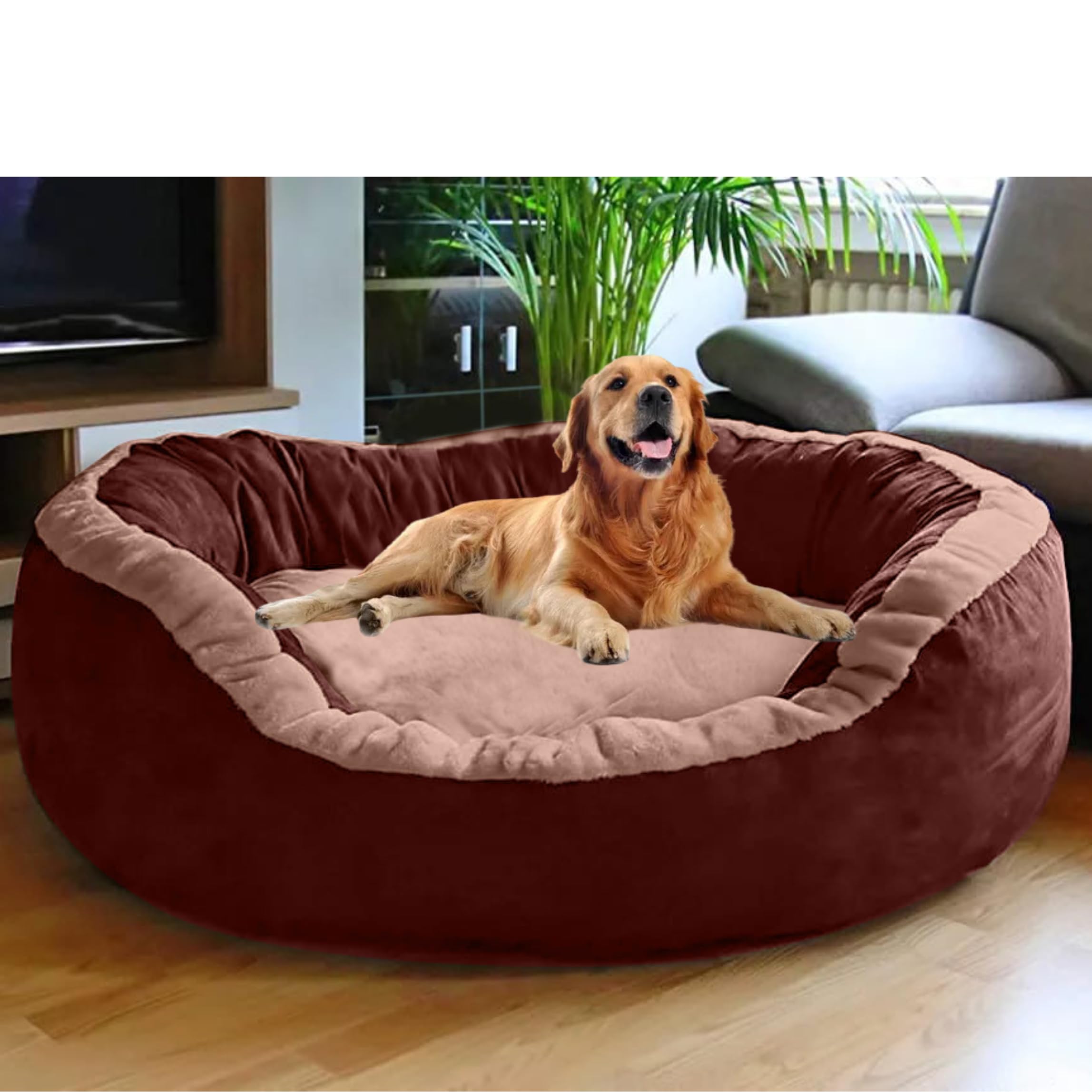 DRILLY Washable Dog/cat Bed for Small |Medium | Large |Extra Large | XXL | XXXL | 4XL Size Dogs | Cats | Puppy | pet | Rabbit | Persian cat | Indoor cat (L)