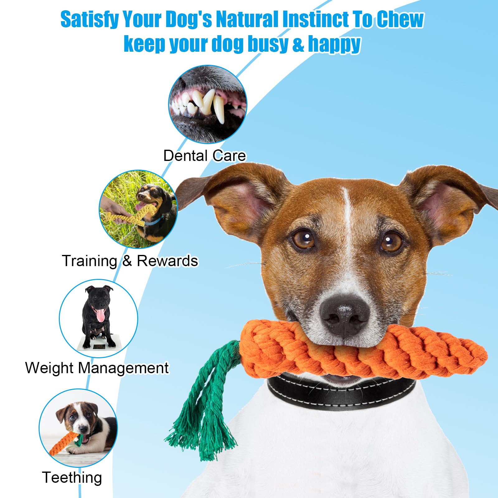 Mezere Puppy Chew Toys from 8 weeks Puppy Teething Toys for Puppies Tough Dog Toys Indestructible Giraffe Puppies Toy for Boredom - Image 4