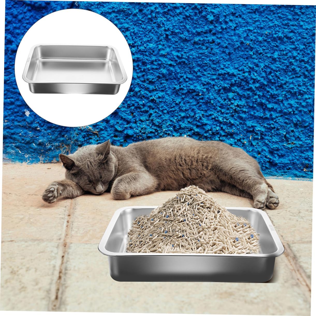 Litter Box Magnetic Design for Easy Access Small Litter Pan for Kittens and Cats Easy to and Maintain
