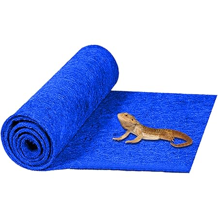 reptile mat