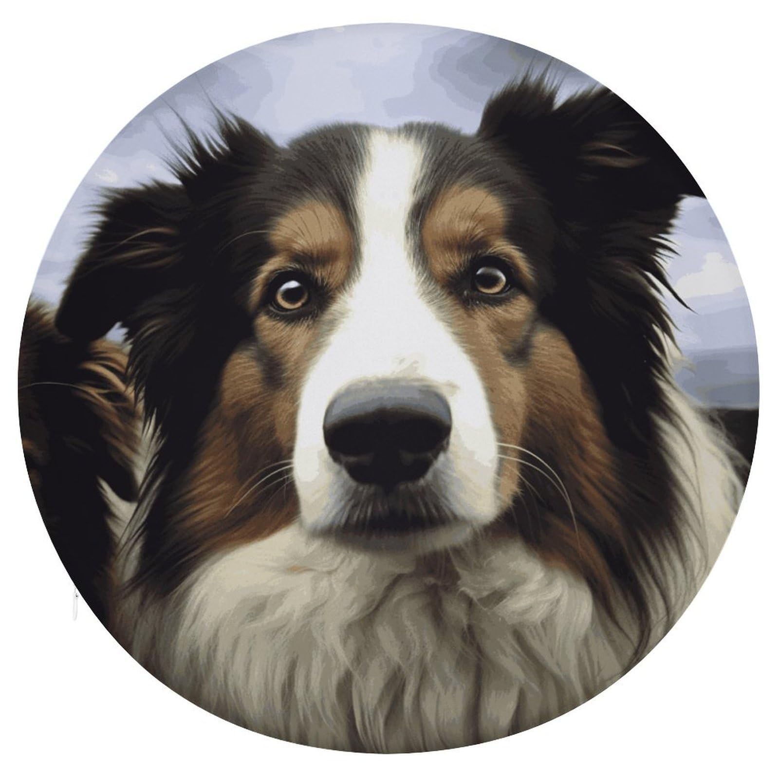 Adfgyerh Style Sheep Dog Cushion Memory Foam Pillow Core，Seat Cushion Detachable Design，Chair Cushions Suitable For All Seasons, And Can Be Used In Offices, Dining Rooms, Homes, And Other Settings.