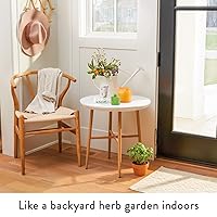 Vista 18 de Thymes Moisturizing Hand Lotion for Dry Skin - Moisturizer for Beauty and Personal Care - Luxury Hand Lotion for Women & Men with Shea Butter & Aloe