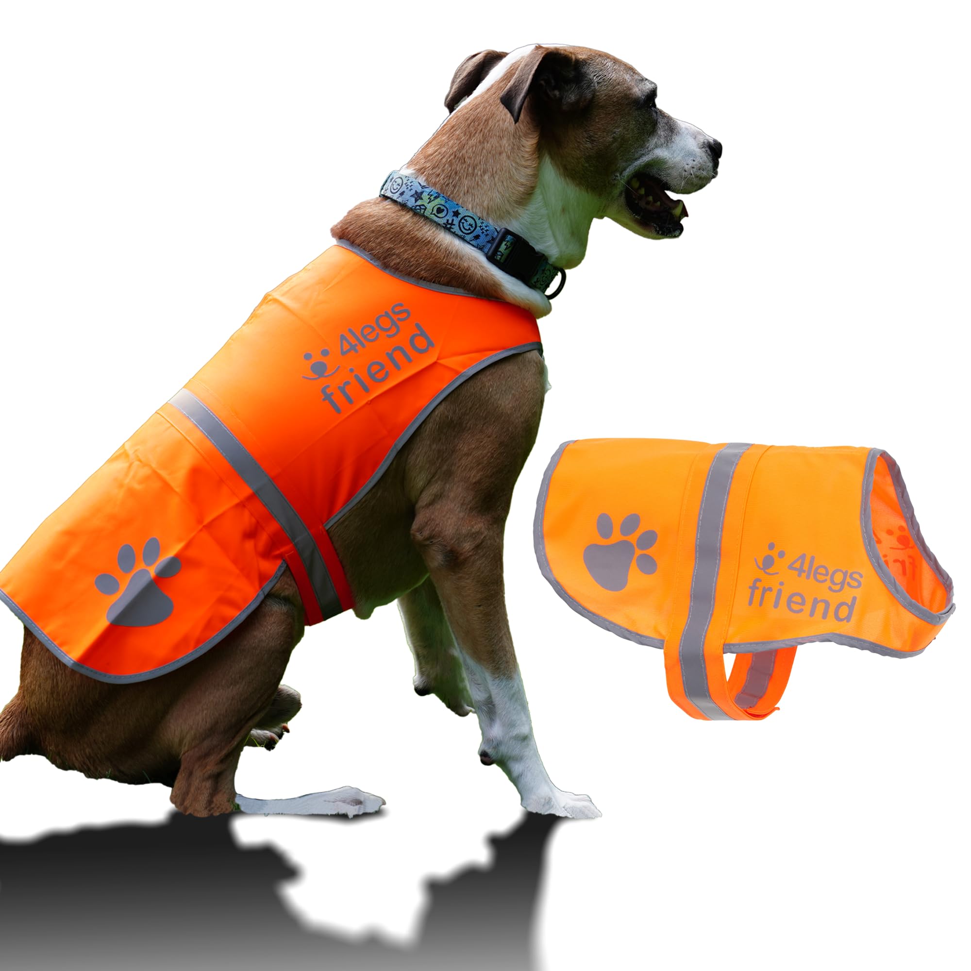 Cane riflettente di sicurezza gilet 5 misure adatte a cani 4-60 kg, giorno e notte ad alta visibilità per attività all' aperto, Mantieni il tuo cane visibile, al sicuro da auto e caccia incidenti