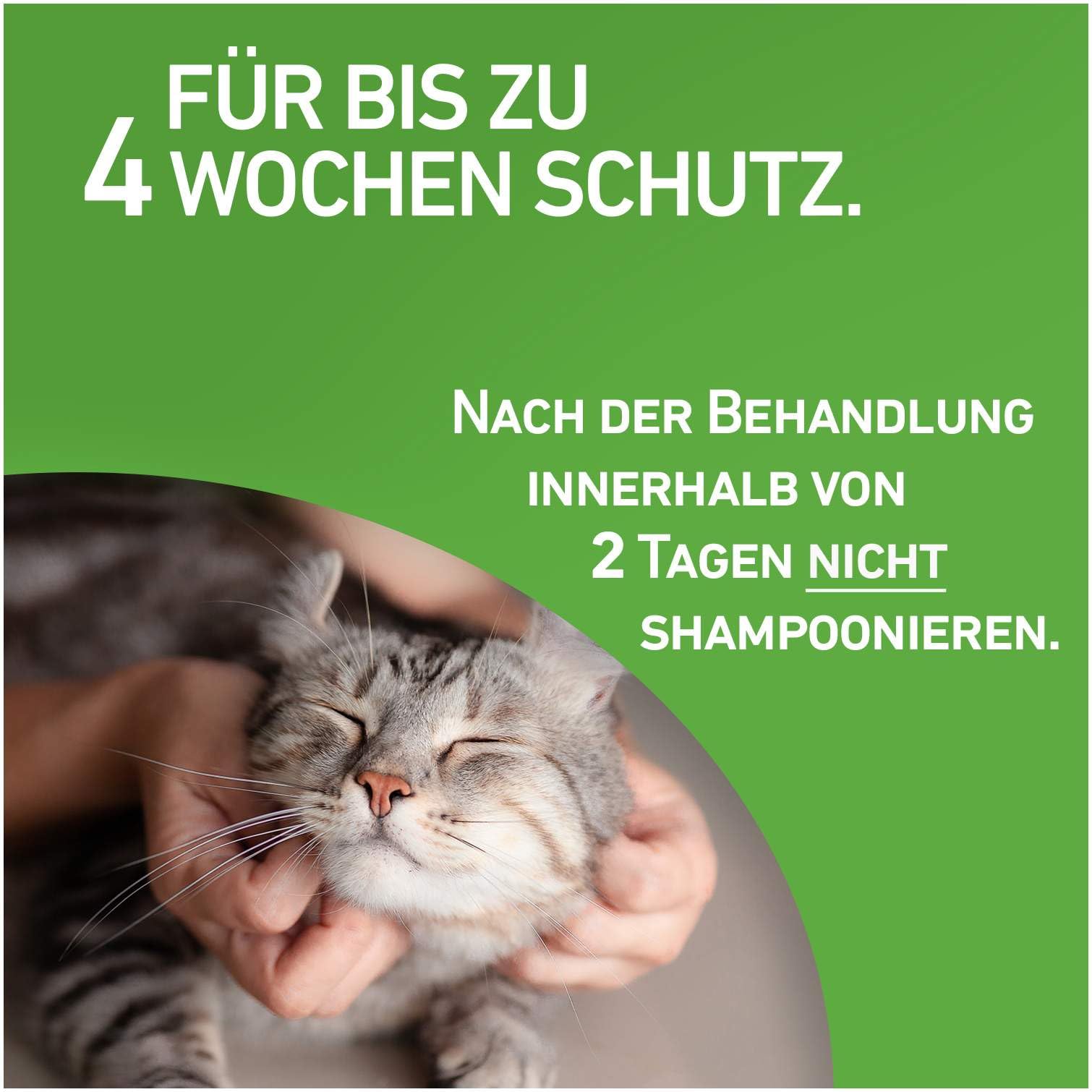 Frontline Combo Spot on Katze 6 Pipette + gratis Fellhandschuh