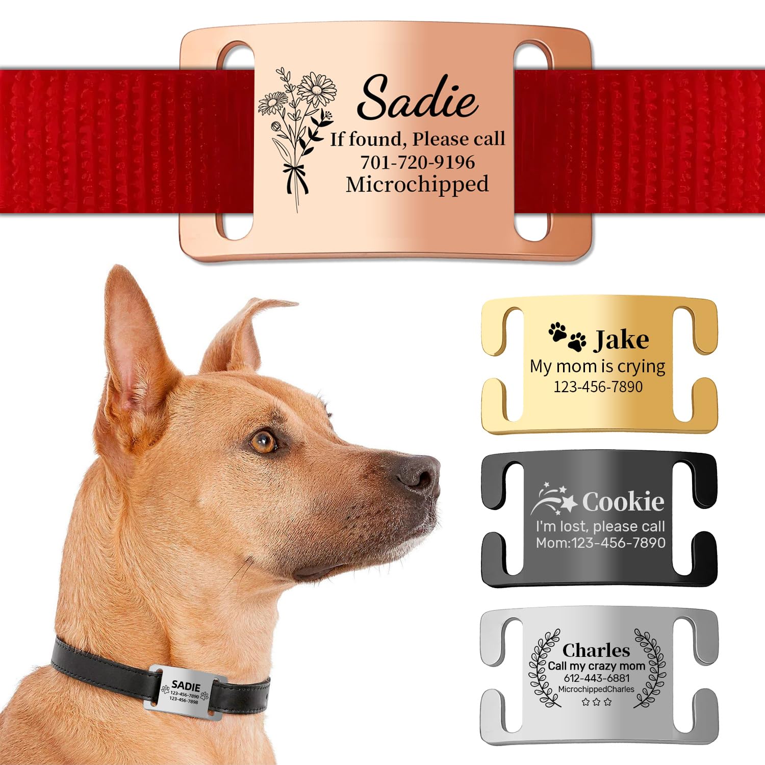 Personalised Dog Tags for Pets Engraved Name Tags, ID Tag, Slide-on Dog Collar Tags - Personalised Dog Identity Tag for Collar,Custom Dog Tags Silent