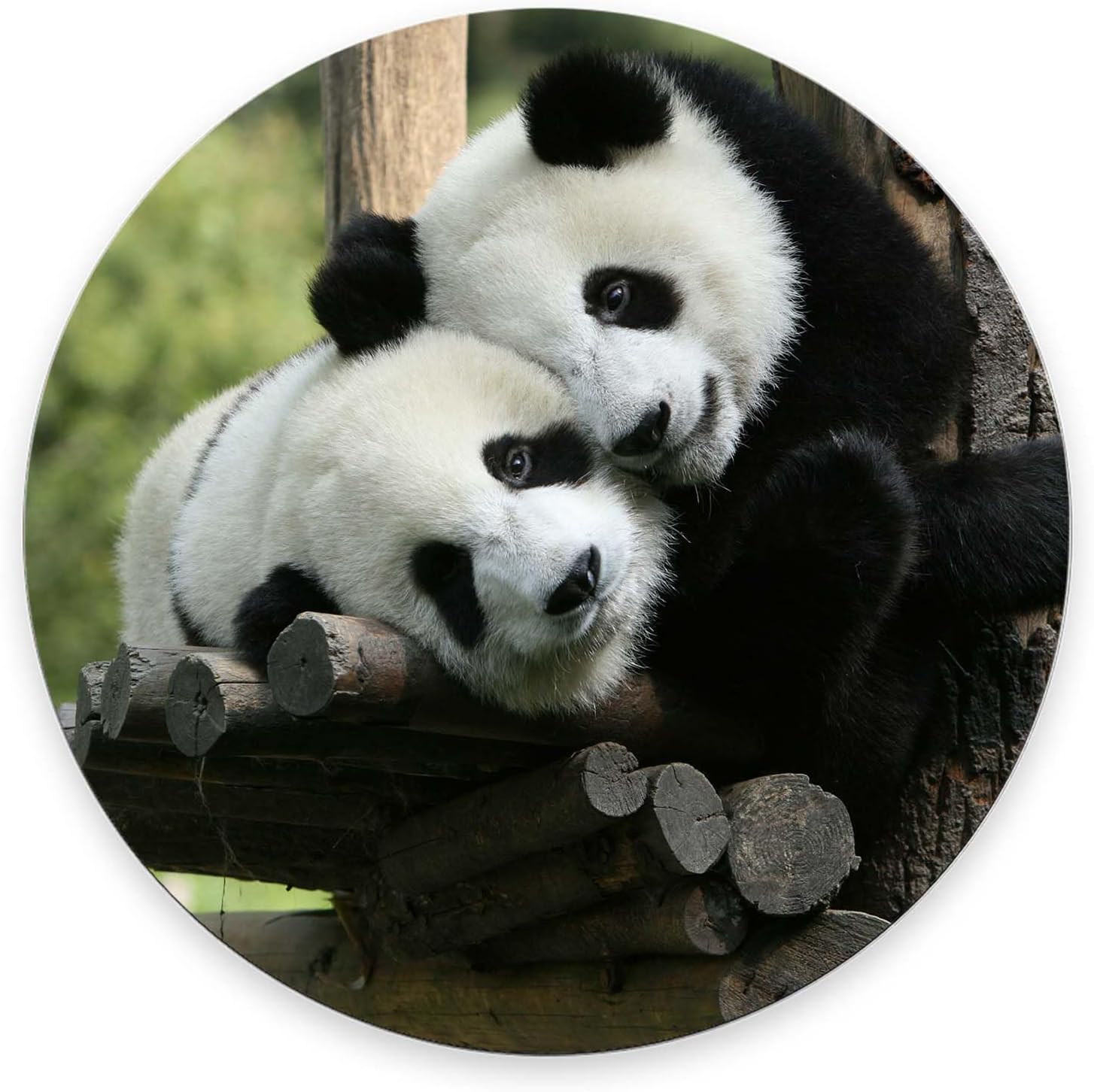 Mouse Pad, Panda Bears Mouse Pad, Washable Round Cloth Mousepad for Gaming Office Laptop, Non-Slip Rubber Cute Computer Mouse Pads for Wireless Mouse, Cute Mouse Pads for Desk 7.9×7.9×0.12 inches