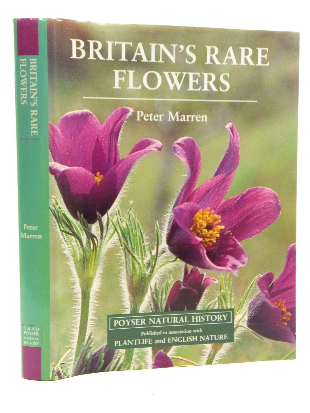 Buy Britain's Rare Flowers (A Volume in the POYSER NATURAL HISTORY Series) — BookShops.in