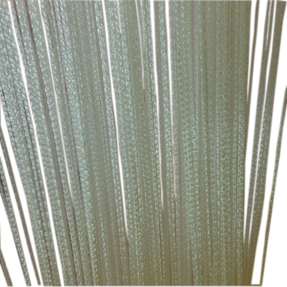 HYSENM 2 Tende 100 x 200 cm Tenda a Fili Glitterata Pannelli divisori per interni Tende per porta finestra Divisorio di Stanze Tenda zanzariera porta finestra, Champagne