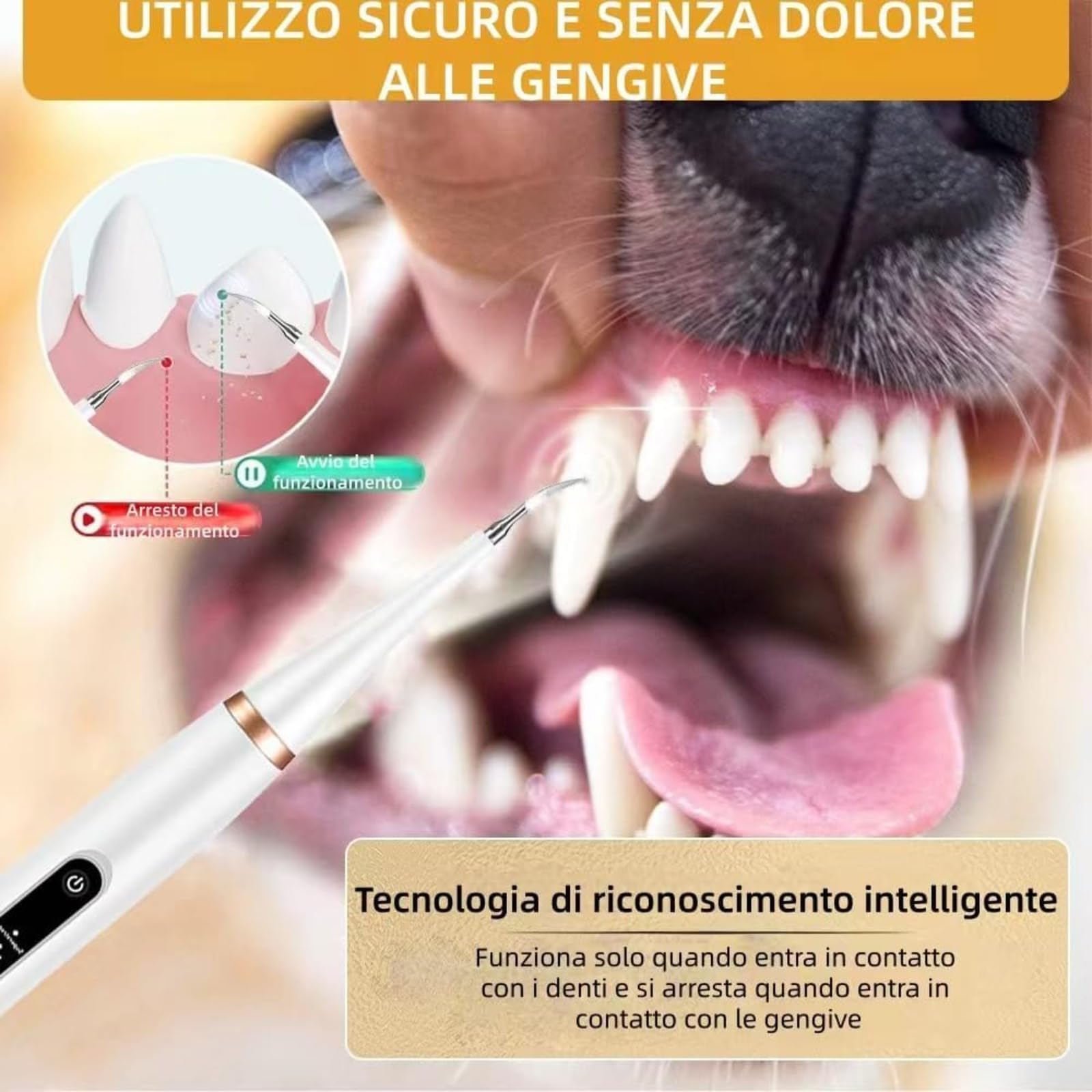 ZampaDent Dispositivo Professionale per la Pulizia Dentale del Cane-Kit Pulizia Denti per Cani e Gatti, 5 Modalità, per Tartaro Dentale, Alito Cattivo, Gengivite (Bianco)