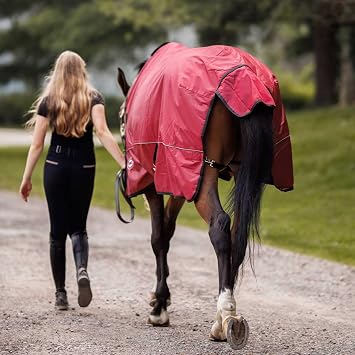 Country Pride Arctic Breeze Lightweight Turnout Blanket, 1680D Ballistic Nylon, Waterproof, Breathable, Midweight Insulated, Reflective Strip, Shoulder Gussets, Tail Cover, Adjustable Fit (60)
