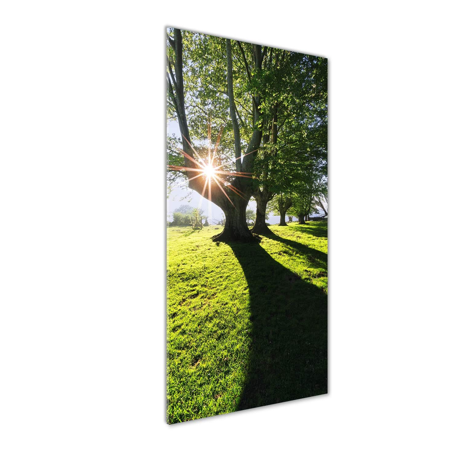 Image sur verre acrylique panoramique déco murale paysage vert Tulup