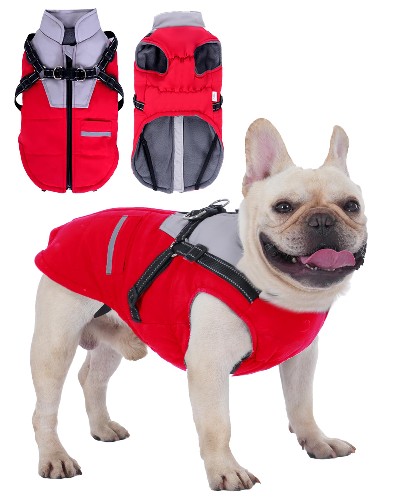 Cappottino Cane: Cappottini per Cani Piccola taglia Impermeabile Giubbotto - Cappotto Cane con Pettorina Adatto Invernale