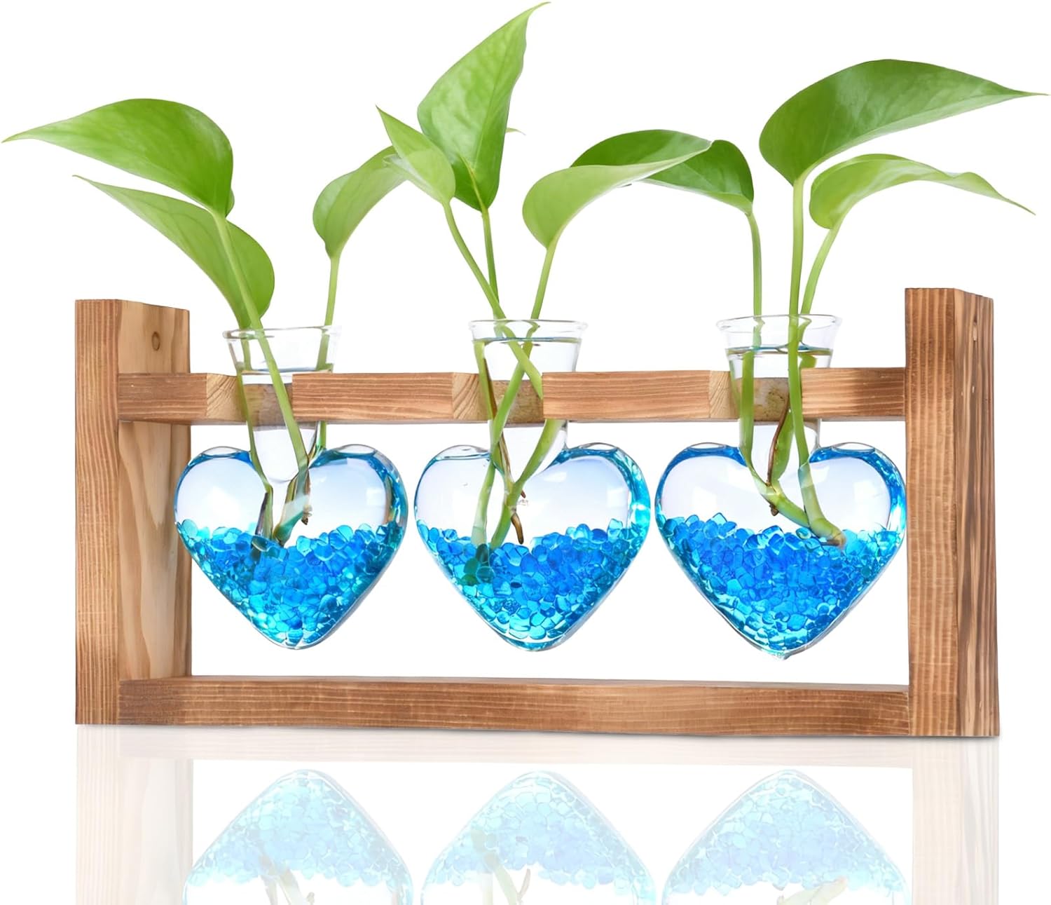 Nacome Plant Terrarium Propagation Stations: Valentines Day Gifts for Her Plant Lovers Women Mom Wife Daughter - 3 Bulb Glass Vase with Wooden Stand Tabletop for Hydroponics Home Garden Wall Decor