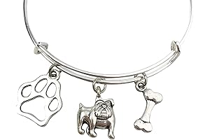 Dinosaur Bracelet for Women Tyrannosaurus Charm Extender Chain Adjustable Stainless Steel Jewelry...