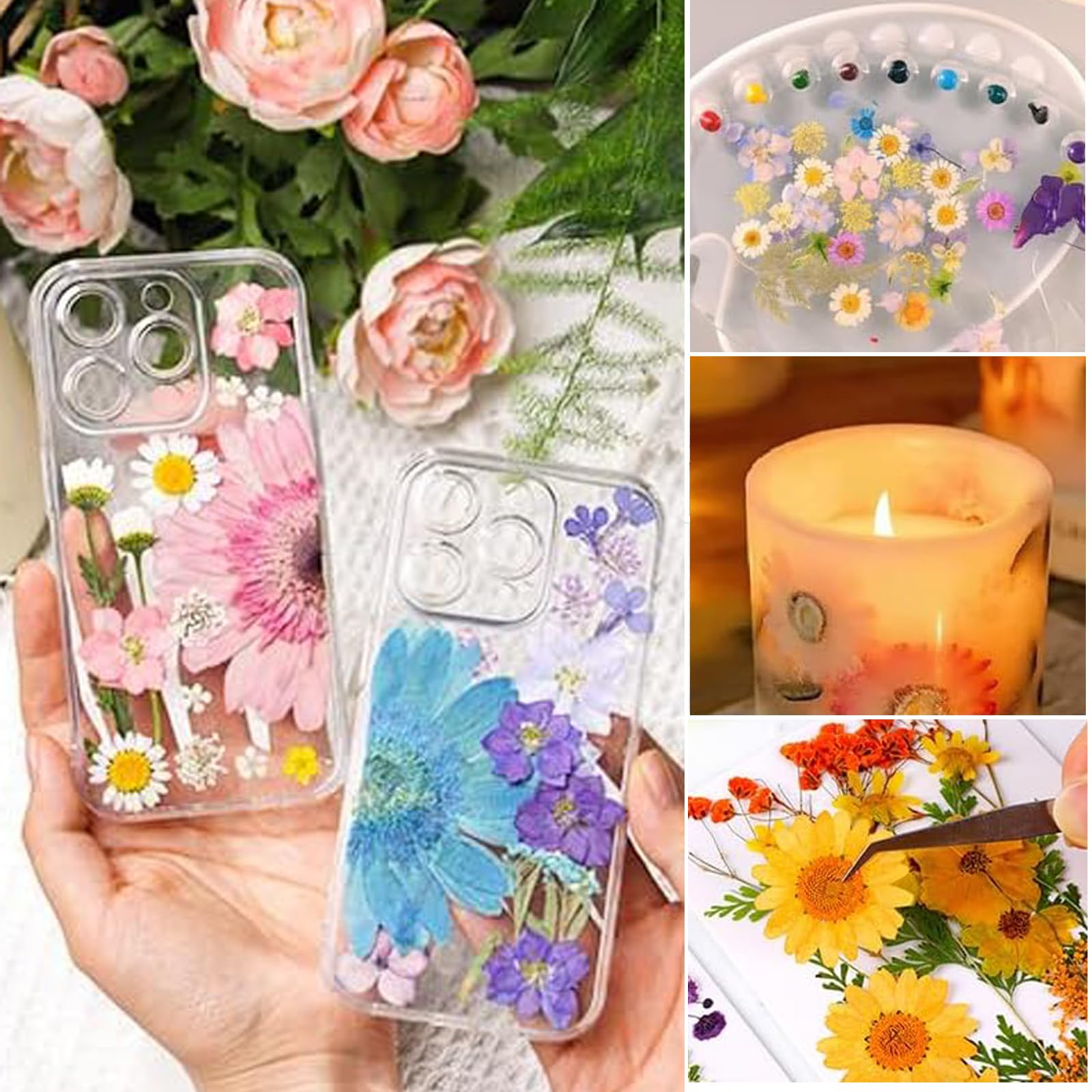 Assortiment de 21 fleurs séchées et pressées Cléopâtre - Multicolore - Perles & Co Assortiment de 21 fleurs séchées et pressées Cléopâtre - Multicolore - Perles & Co