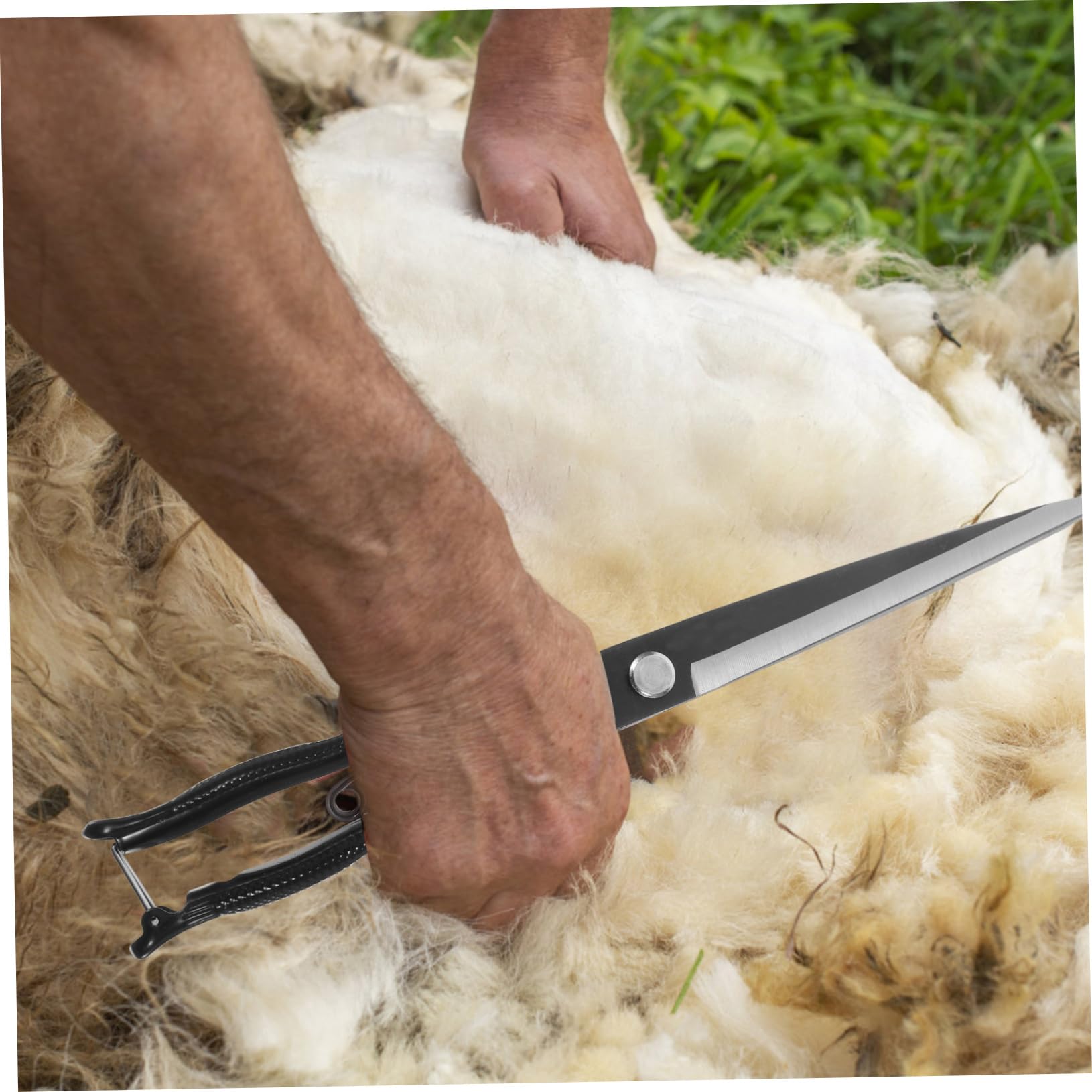 TOYANDONA 1 Set per Tosatura Animali Carbonio Strumento Manuale per Tosare e Bestiame per Operazioni Agricole e Toelettatura Professionale