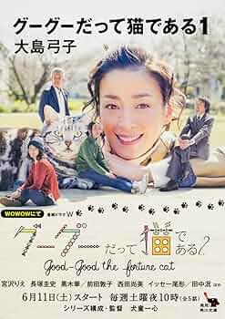 コミック・アニメ Gato 91vTsaEV-hL.jpg