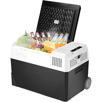 WANNYTON 58 Litre Electric Compressor Cool Box Car Refrigerator 12/24/100-240V Mini Fridge for Car Truck Boat Motorhome Portable with Wheels and Handles with AC/DC Cable [Energy Class B]