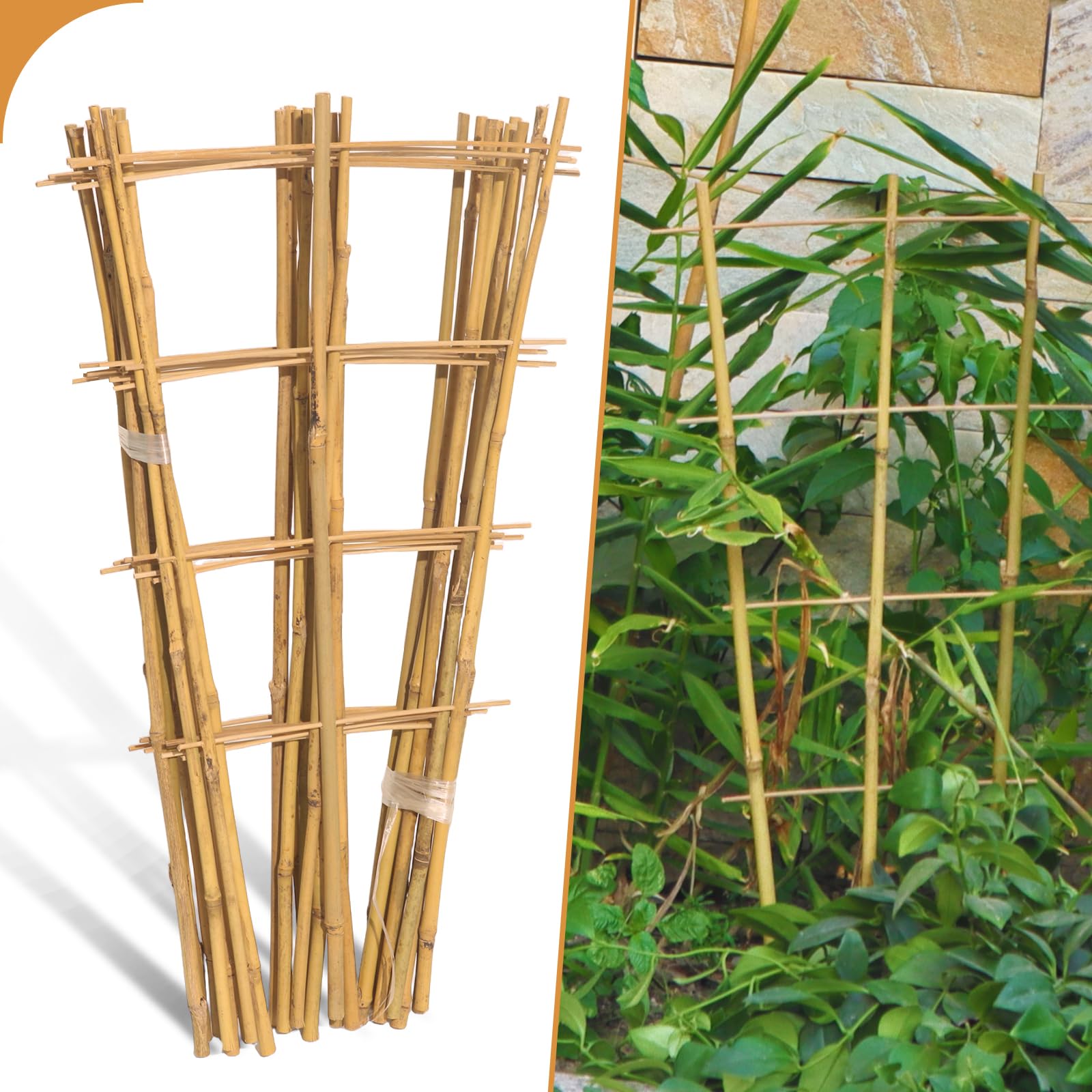 Biotolot 10 Pack 2ft Bamboo Trellis Fan-Shaped