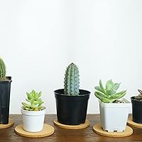 Vista 5 de 3 posavasos de corcho para bebidas, juego de posavasos de 3.9 pulgadas para tazas y plantas