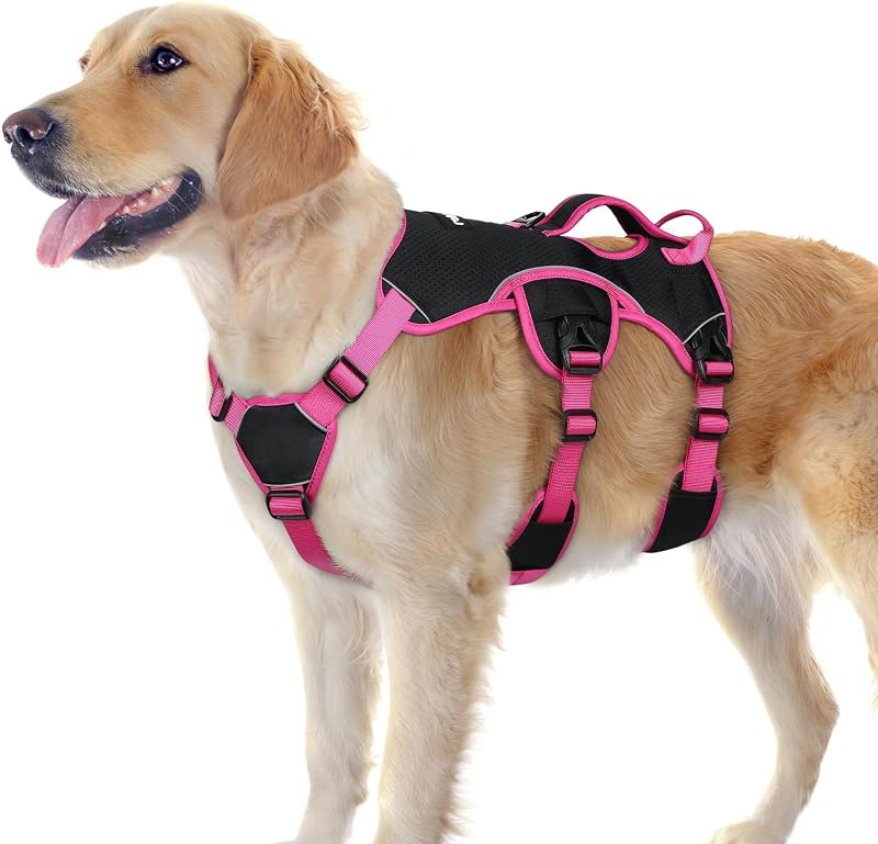Peitoral Vest Antifuga para Cães Grandes com Alça de Controle e Faixas Refletivas rabbitgoo