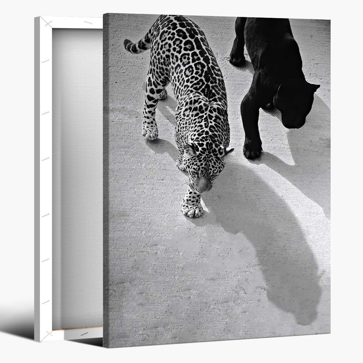Trendy Black and White Wall Art Panther on The Sofa Posters Canvas Prints Vintage Fashion Cheetah Picture Poster Leopard Magazine Cover Aesthetic Wall Decor for Dorm Bedroom 24x36inch Unframed