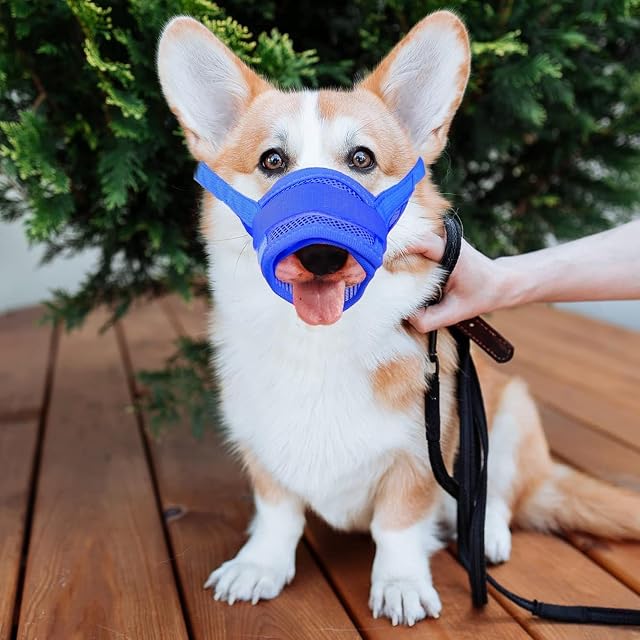 Foto 5 de 6 de YAODHAOD Bozales de Boca de Perro Transpirable de Malla de Nylon, Cubierta de Boca de Mascota