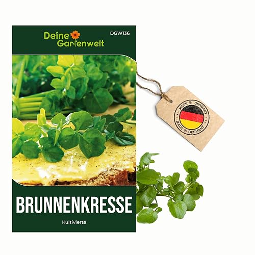 Brunnenkresse Kultivierte Samen - Nasturtium officinale - Brunnenkressesamen - Gemüsesamen - Saatgut für 1.000 Pflanzen – 5er Pack
