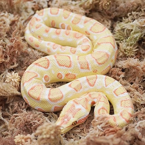 Miniatura 3 de Musgo esfagnum natural de 1.4 libras para reptiles, medio de retención de humedad ideal para serpientes, tortugas y otros reptiles, bueno para