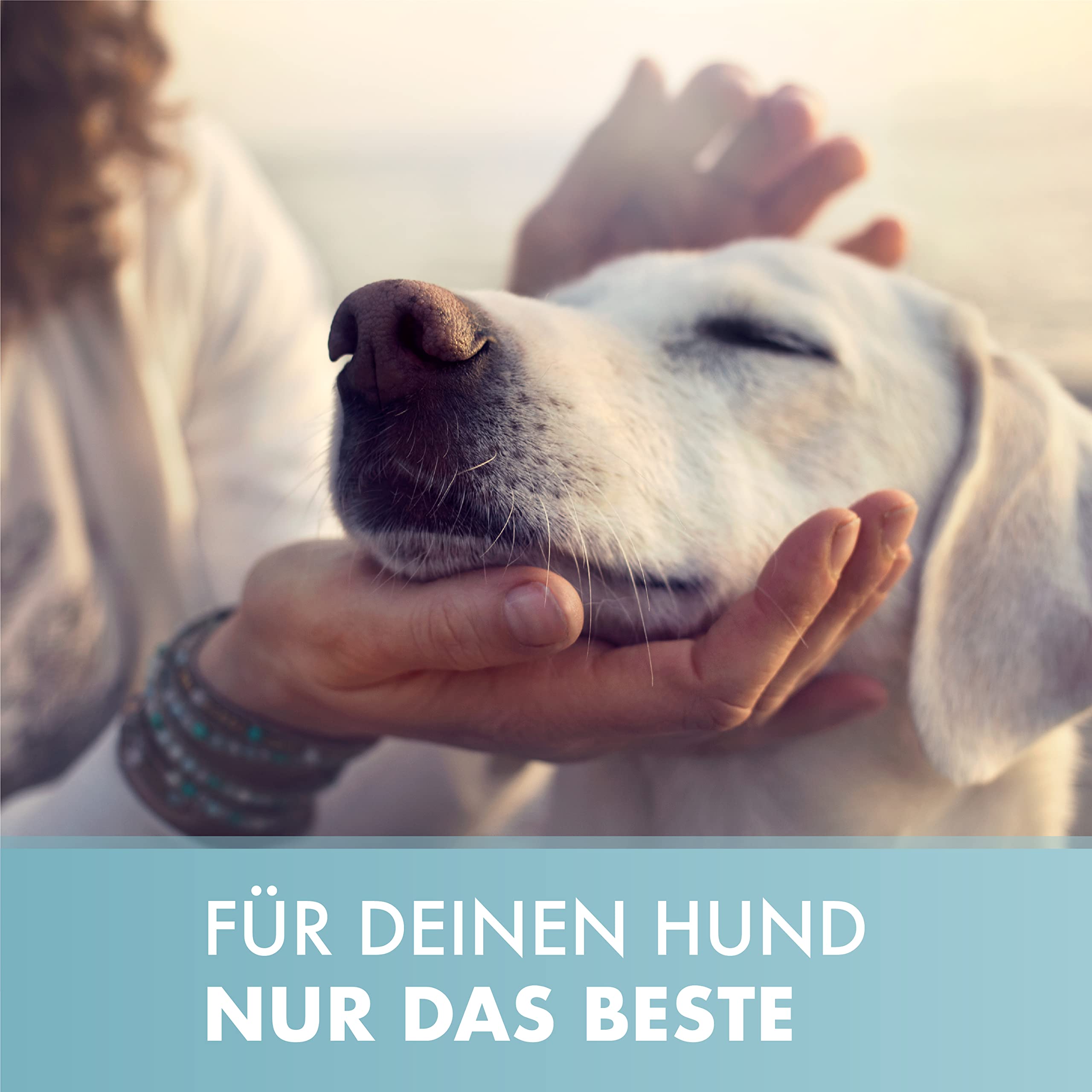 Hunde-Bett mit Visco-Kissen - waschbares Hundekörbchen - hochwertiges Hundesofa - gelenkschonendes Hundekissen - robuste Hundematte - Gr. XL 130 x 100cm - grau
