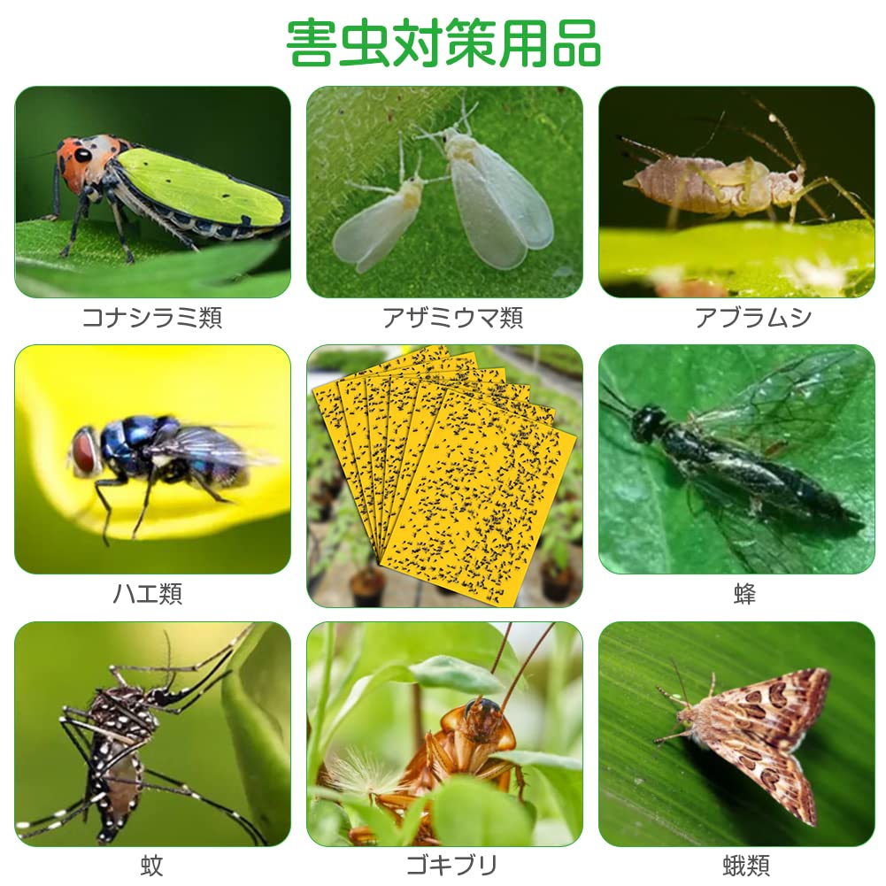 捕虫器 【中古品】 防虫機器 害虫 衛生害虫 防除 蠅 蜂 蛾