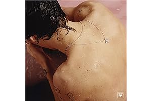 Harry Styles: Vinyl Album Cover Photography