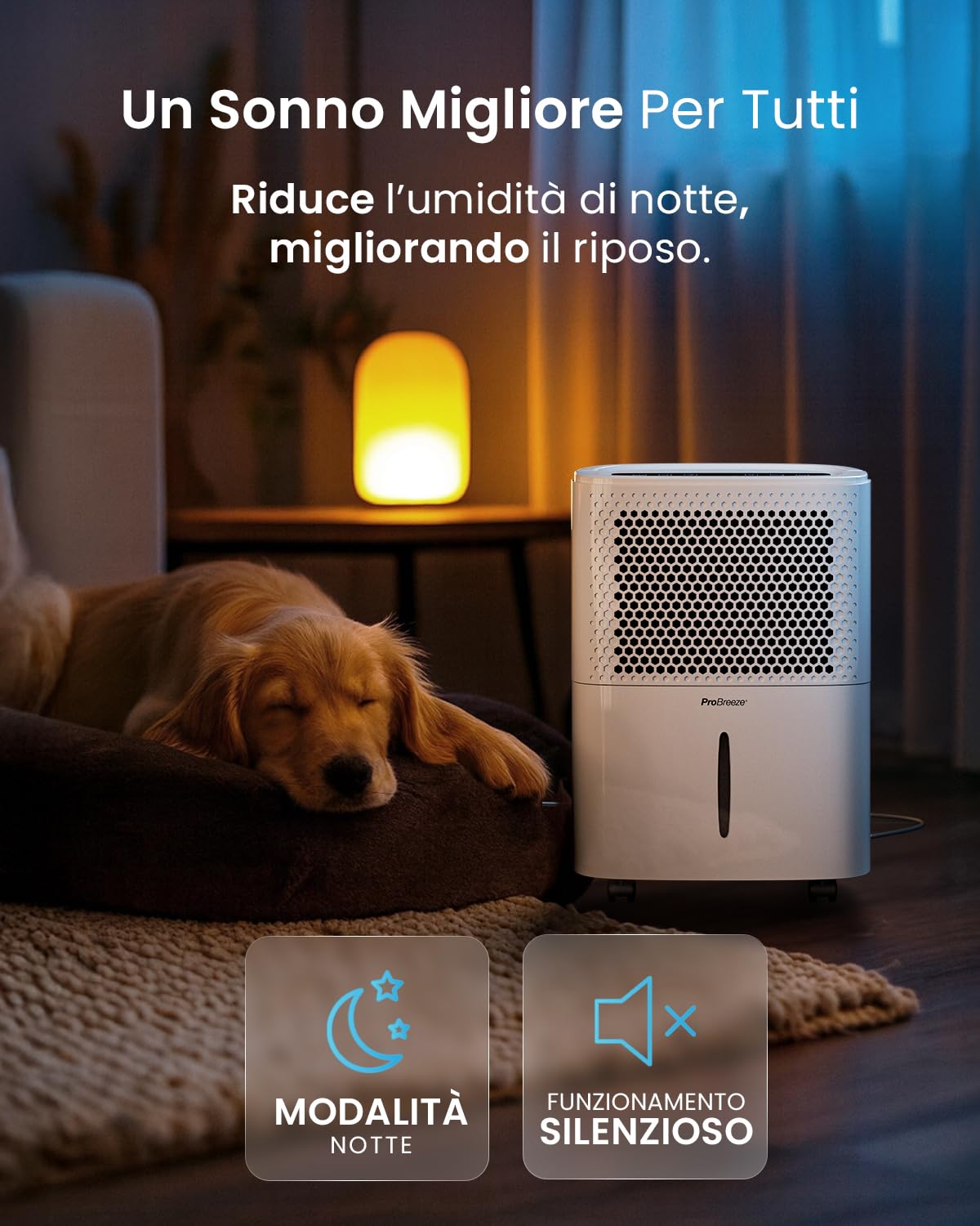 Pro Breeze Deumidificatore 12L / Day con display digitale dell'umidità, modalità Sleep, drenaggio continuo, asciugatura della biancheria e timer 24 ore - Ideale per umidità e condensa