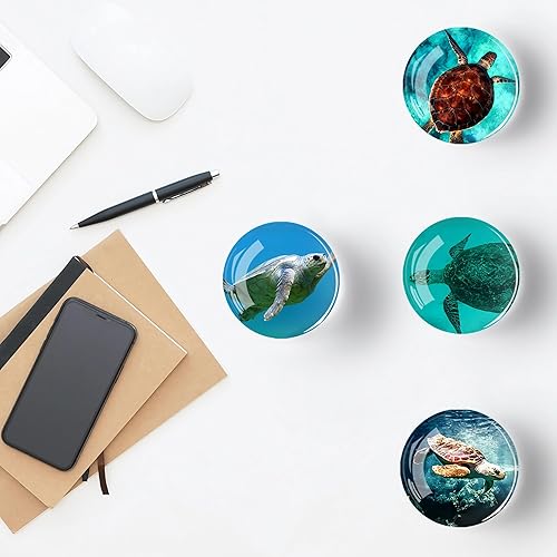 Miniatura 117 de 12 imanes de cristal para nevera, decoración de imanes de nevera de pájaro para manualidades, imanes de nevera fuertes para cocina, escuela