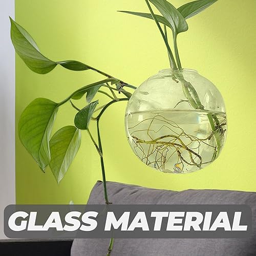 Miniatura 3 de PRETYZOOM Maceta colgante de pared, contenedor de terrarios de montaje en pared para plantas hidropónicas, estaciones de propagación de macetas