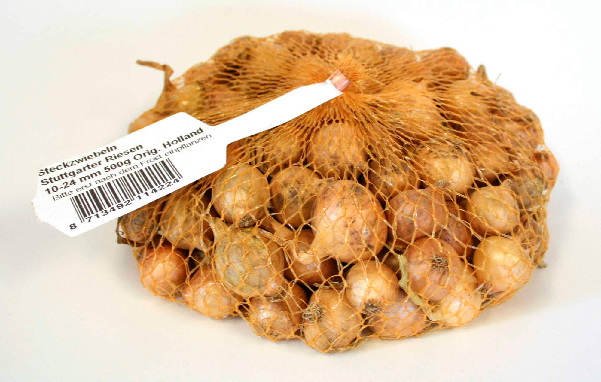 Quedlinburger 350035 Steckzwiebel Stuttgarter Riesen (500 g) (Steckzwiebeln)
