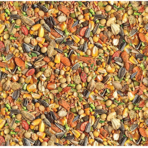 Wild Harvest C19168 Advanced Nutrition Parrot 8 Pound Bag,White thumb #3