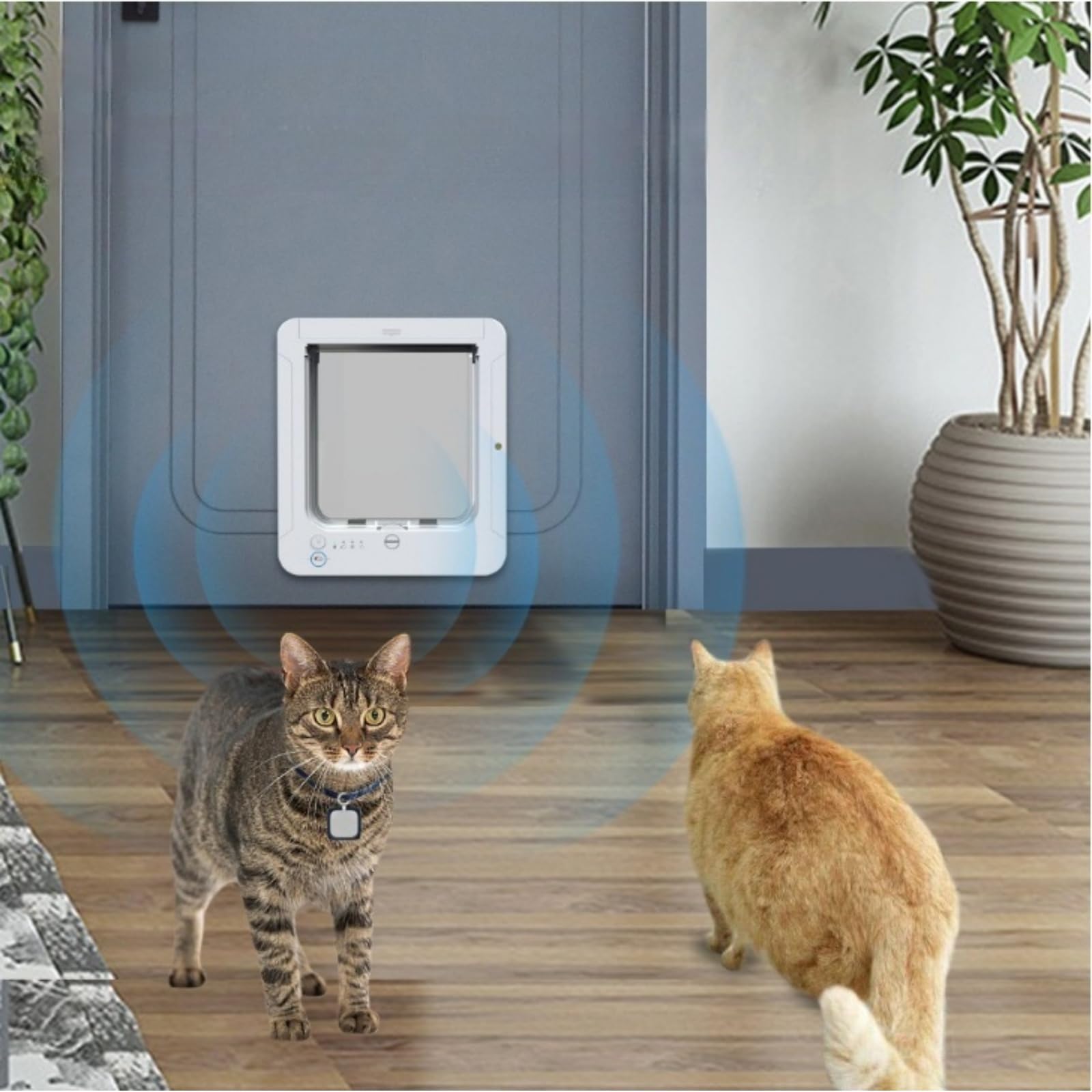 Porte pour Chat Intelligente, chatière avec Puce électronique, avec 2 Colliers de détection et 1 télécommande, Taille d'ouverture : 7.7 * 8.3 in, chatière à Puce électronique