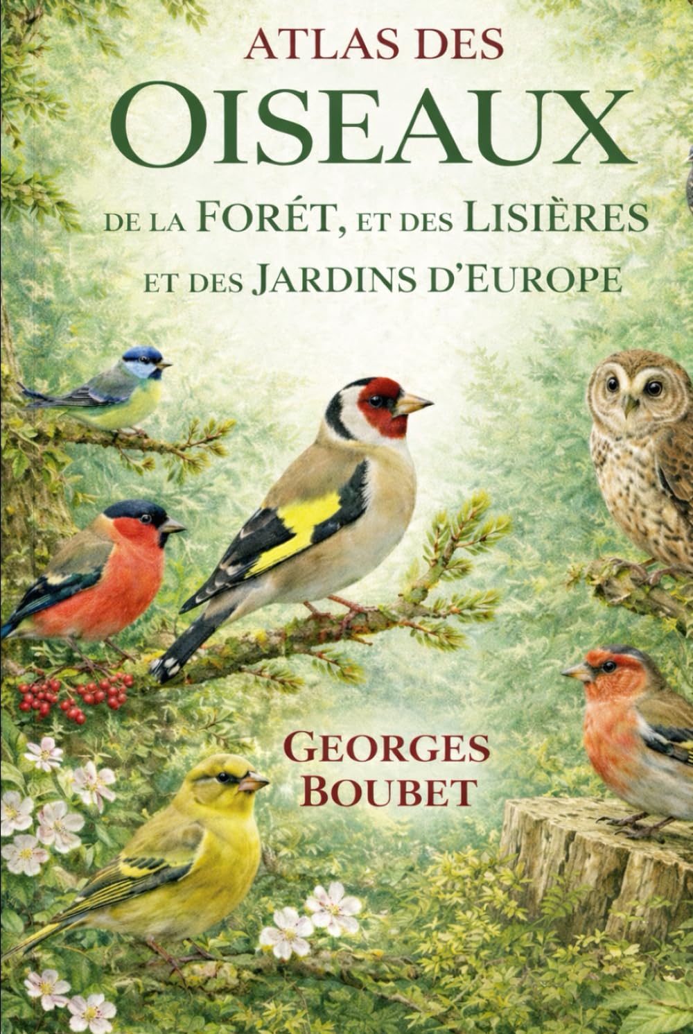 ATLAS DES OISEAUX: Forêts, lisières et jardins d’Europe (French Edition)      Hardcover – December 23, 2025