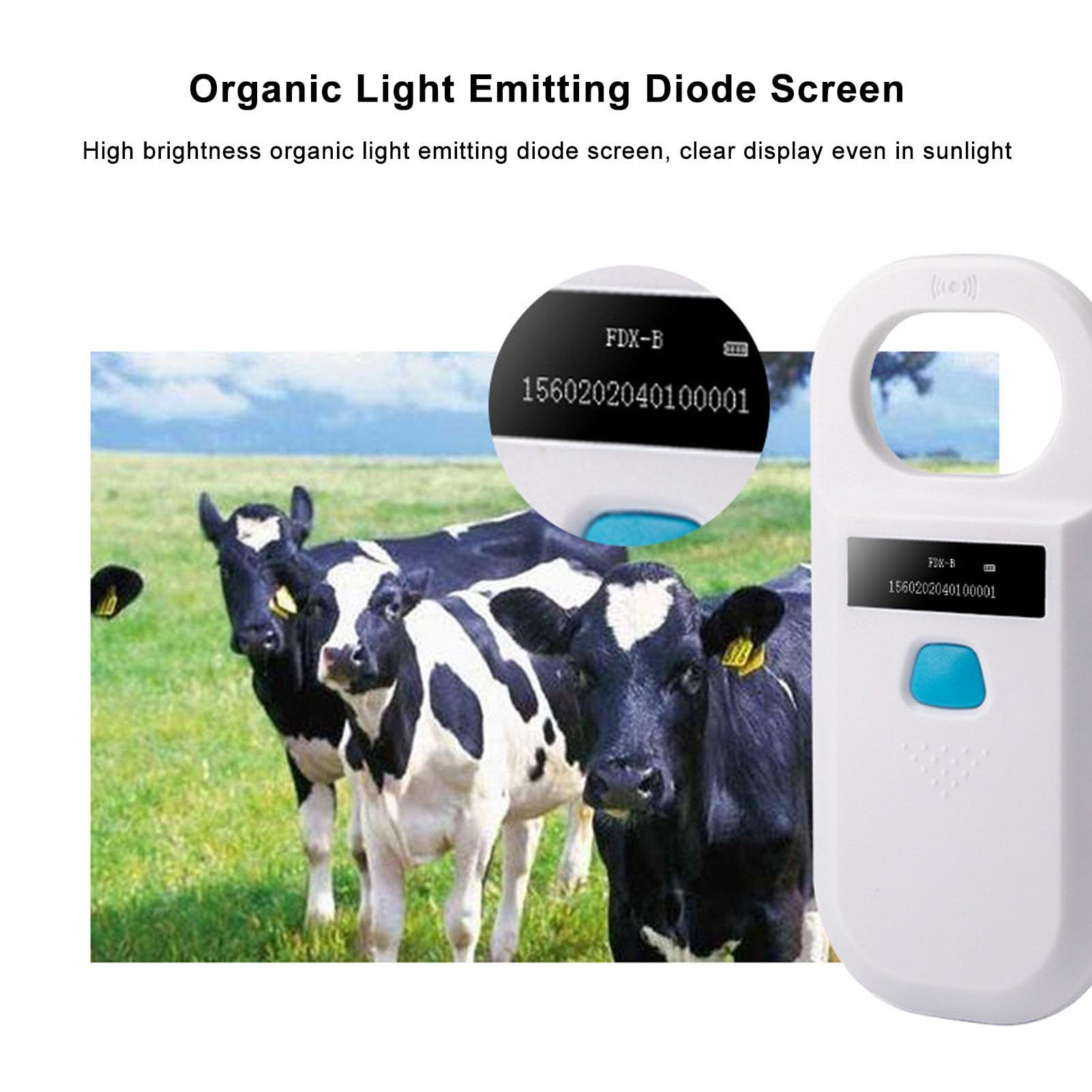 Lecteur D'étiquettes à Micropuce, Rechargeable par USB, Scanner D'étiquettes D'Animaux, Scanner D'identification de Puces pour Animaux de Compagnie, Lecteur de Puces pour Chiens,